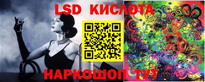 метадон Гай