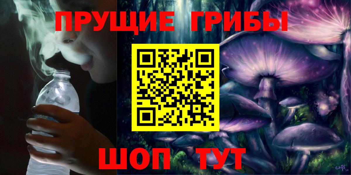 Псилоцибиновые грибы Psilocybe  Вход с VPN  Псилоцибиновые грибы ЛСД  Моздок 