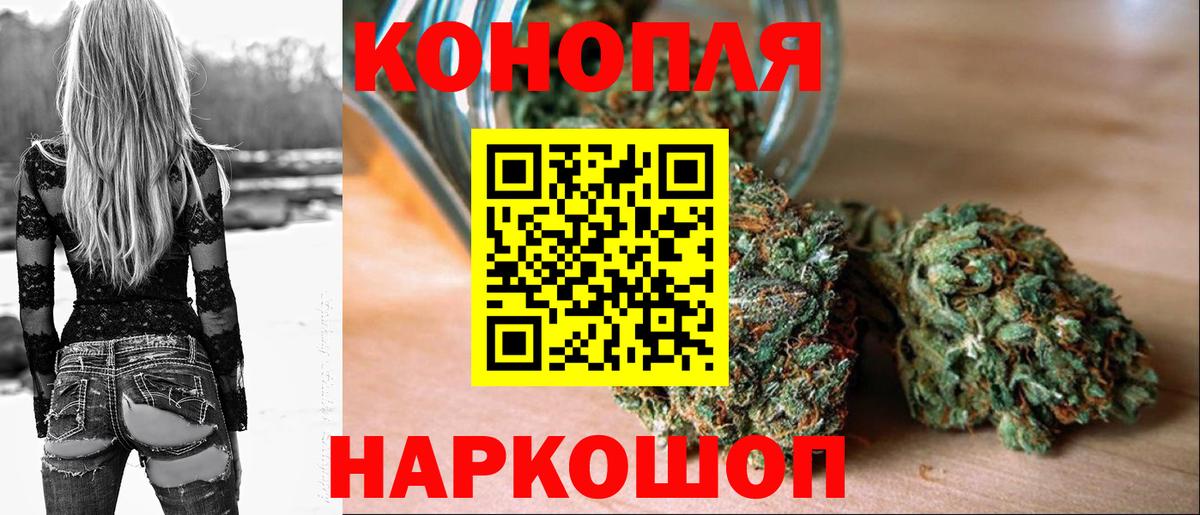 Конопля конопля Моздок
